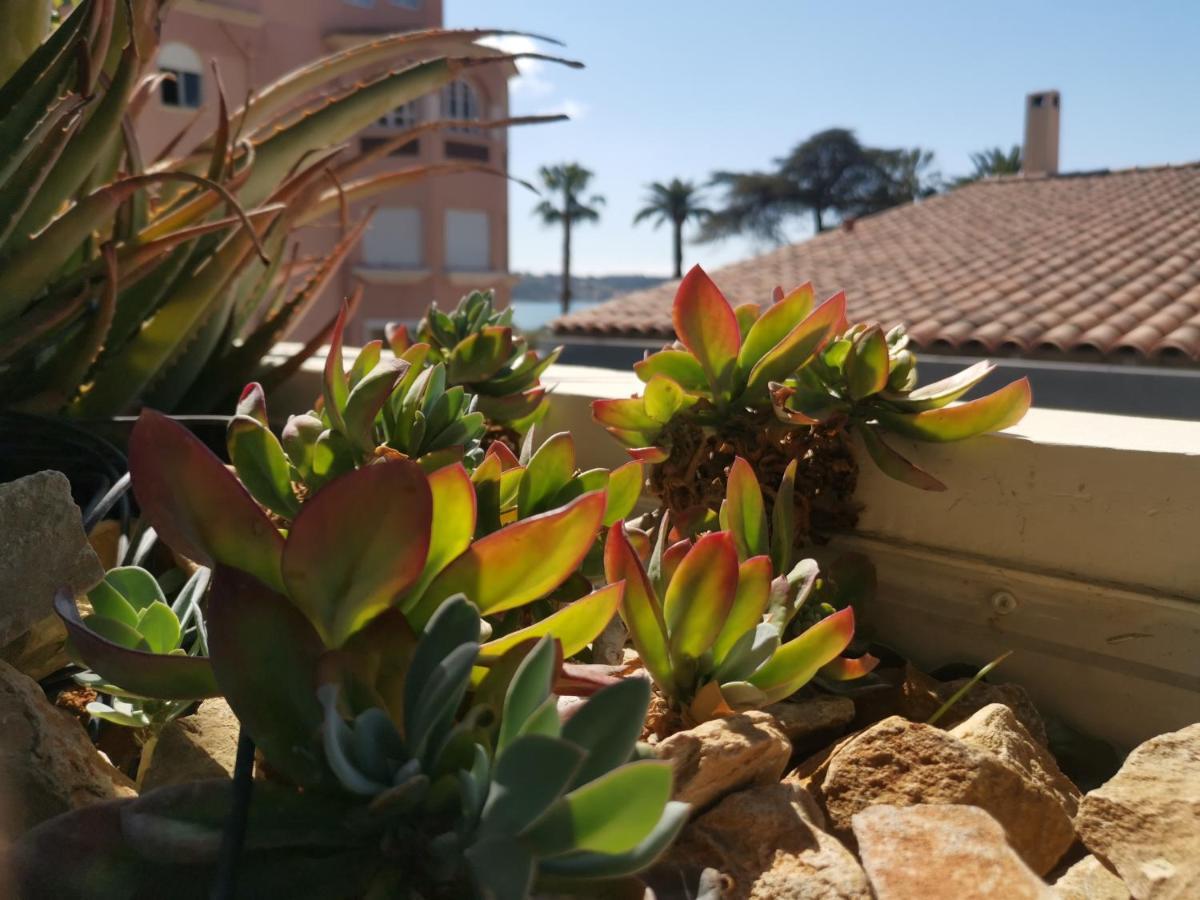 Apartament Ofdl B T1 Bandol - Briotine Foyalais Zewnętrze zdjęcie